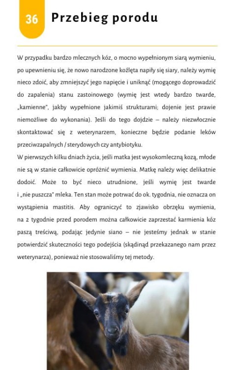 ebook-hodowla-koz-kozleta-wykoty-przyklad.jpg
