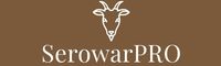 Logo tekstowe - strona główna