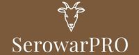 Logo tekstowe - strona główna