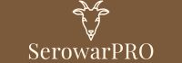 Logo tekstowe - strona główna